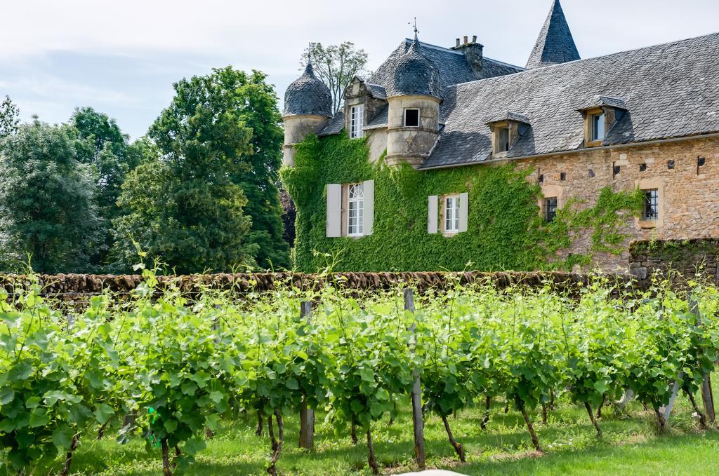 Chateau De Labro - Teritoria Onet-le-Château Exteriér fotografie