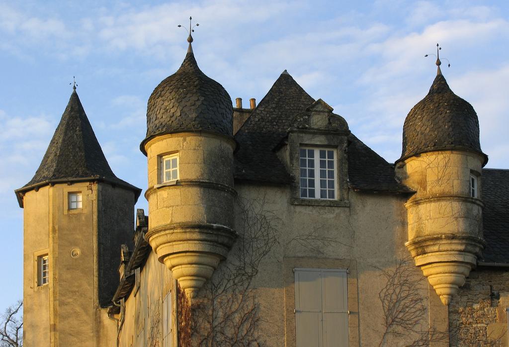Chateau De Labro - Teritoria Onet-le-Château Exteriér fotografie